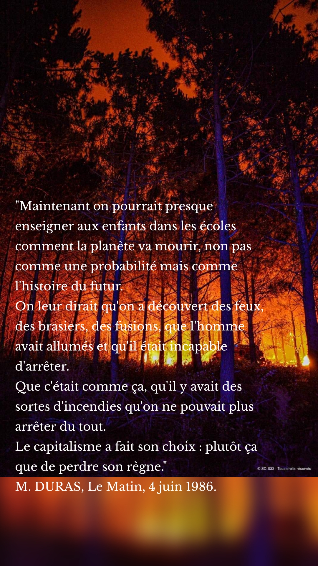 "Maintenant on pourrait presque enseigner aux enfants dans les écoles comment la planète va mourir, non pas comme une probabilité mais comme l'histoire du futur.
On leur dirait qu'on a découvert des feux, des brasiers, des fusions, que l'homme avait allumés et qu'il était incapable d'arrêter.
Que c'était comme ça, qu'il y avait des sortes d'incendies qu'on ne pouvait plus arrêter du tout.
Le capitalisme a fait son choix : plutôt ça que de perdre son règne."
M. DURAS, Le Matin, 4 juin 1986.